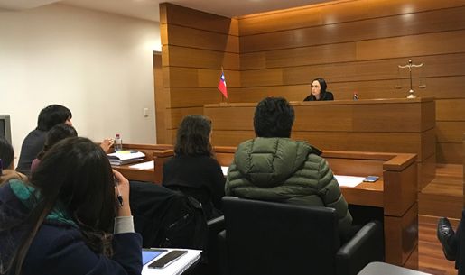 Curso de Clínica Jurídica realiza juicio simulado ante juez de titular de familia