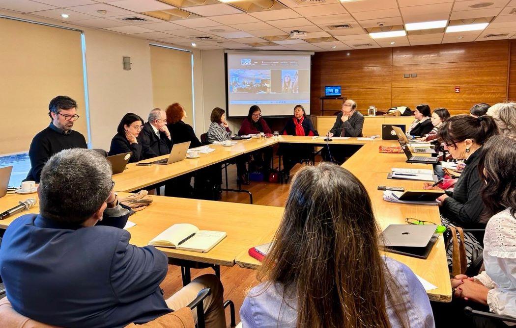 Académica Fabiola Lathrop convocada por Alto Comisionado de la ONU a hito sobre capacidad jurídica y derechos de las personas con discapacidad