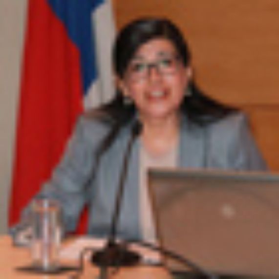 El seminario constó con la participación de destacados académicos españoles, como así también de expertos chilenos sobre la materia