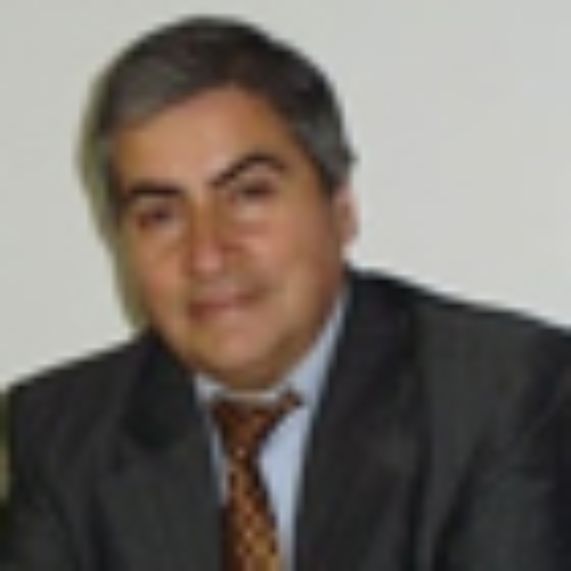 Profesor Gabriel Alvarez
