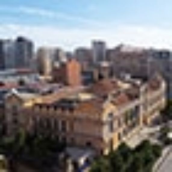 Universidad de Chile es la N° 1 del país en el Academic Ranking of World Universities 2019